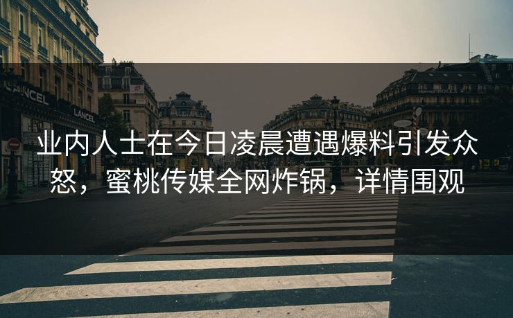 业内人士在今日凌晨遭遇爆料引发众怒，蜜桃传媒全网炸锅，详情围观