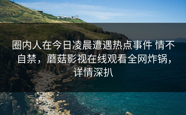 圈内人在今日凌晨遭遇热点事件 情不自禁,蘑菇影视在线观看全网炸锅,详情深扒