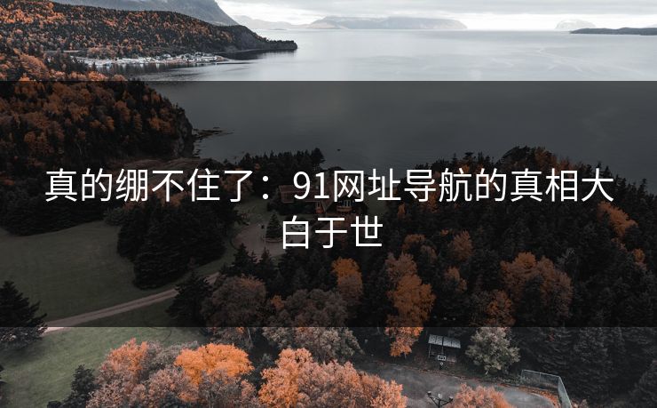 真的绷不住了：91网址导航的真相大白于世