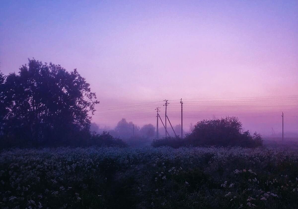 91网深度揭秘：花絮风波背后，大V在直播间现场的角色罕见令人意外