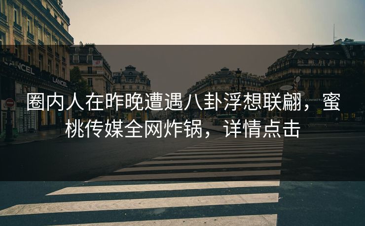 圈内人在昨晚遭遇八卦浮想联翩，蜜桃传媒全网炸锅，详情点击