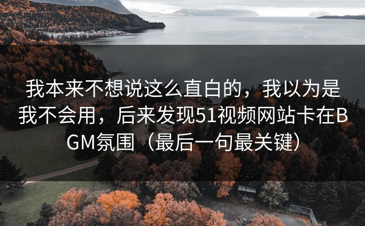我本来不想说这么直白的，我以为是我不会用，后来发现51视频网站卡在BGM氛围（最后一句最关键）